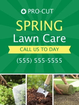 Spring Lawn