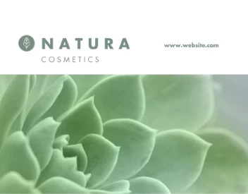 Succulent Beauty Store