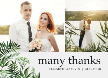 Minimalistic Greenery