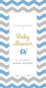 Classic Chevron Baby Shower