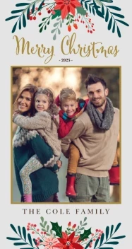 Poinsettias Botanic Frame