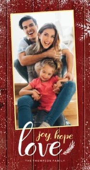 Colored Wood Background