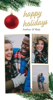 Holiday Ornaments on Branches