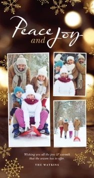 Peace and Joy Metallic Snowflakes