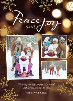 Peace and Joy Metallic Snowflakes