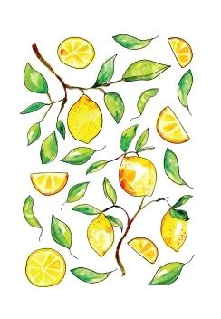 Lemon Tree