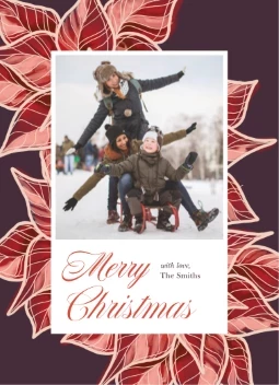 Poinsettia Illustration Christmas