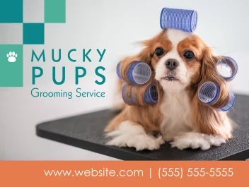Pet Groomer Boxes