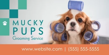 Pet Groomer Boxes