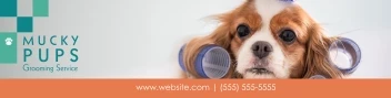Pet Groomer Boxes