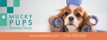 Pet Groomer Boxes