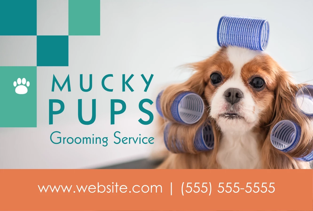Pet Groomer Boxes