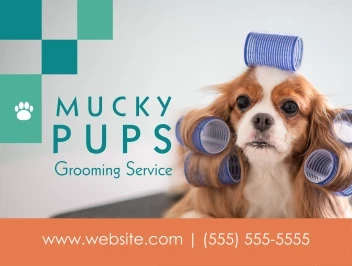 Pet Groomer Boxes