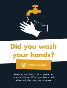 Did You Wash Your Hands
