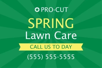 Spring Lawn