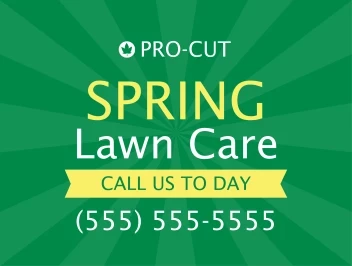 Spring Lawn