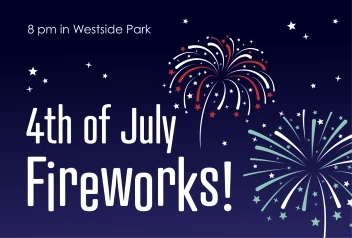 Fireworks In The Park