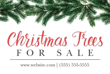 Pine Branches Sale