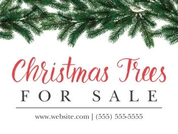 Pine Branches Sale