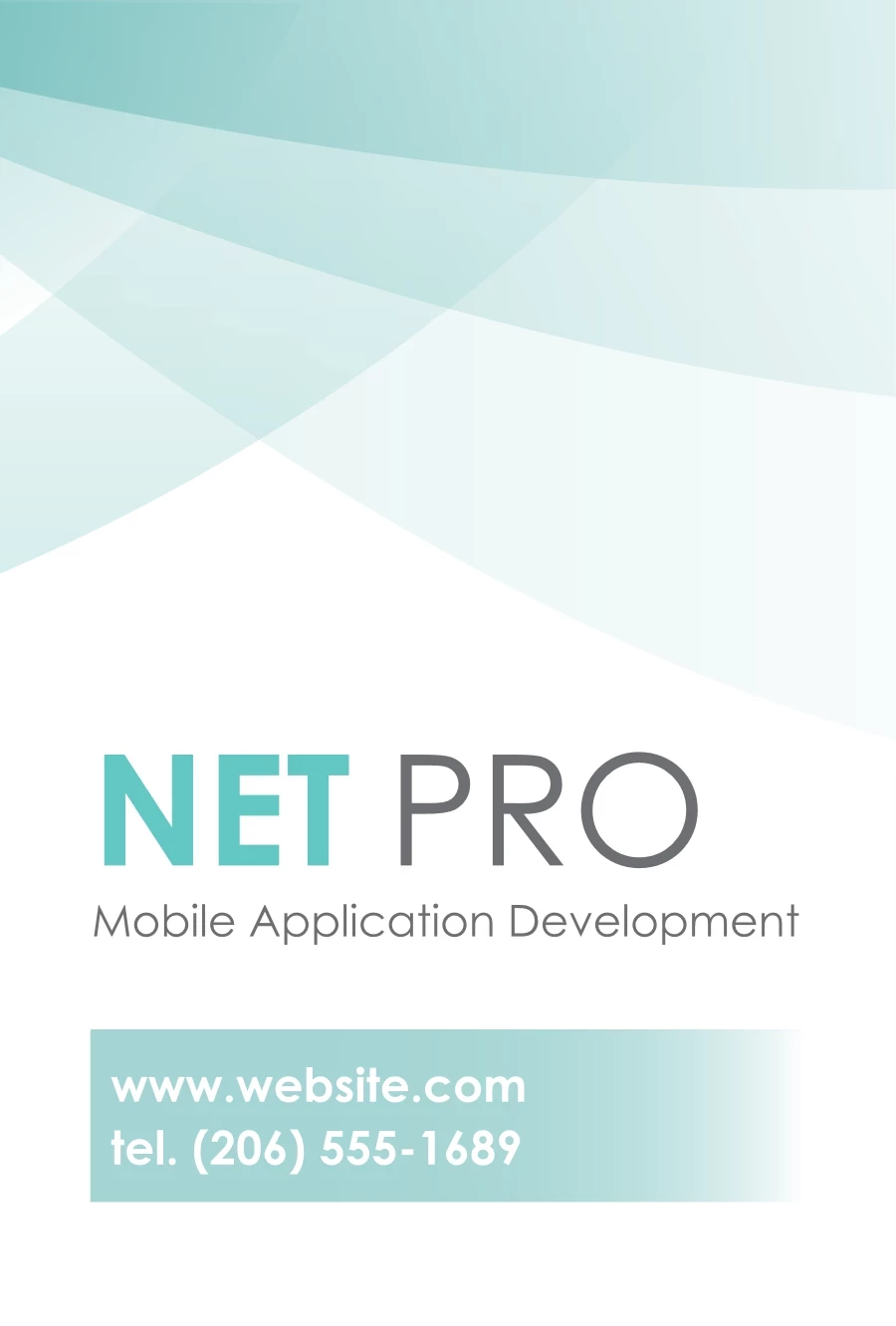 Net Pro