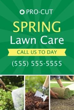 Spring Lawn