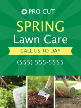 Spring Lawn