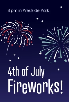 Fireworks In The Park