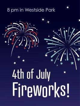 Fireworks In The Park