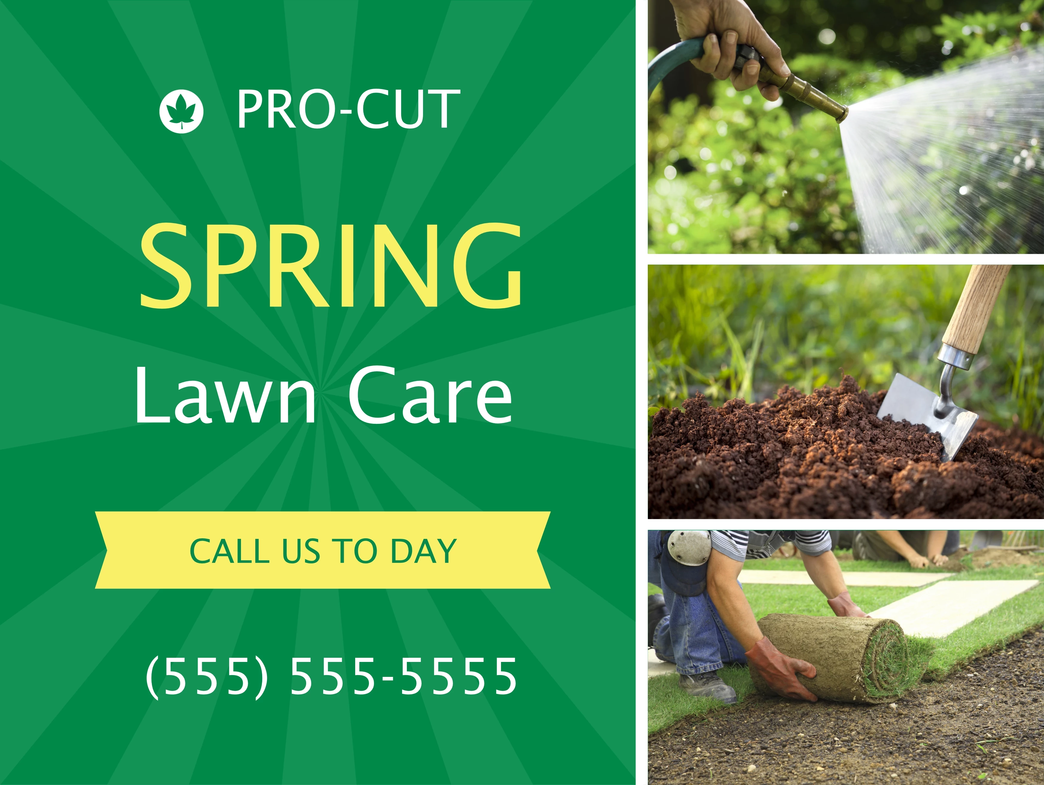 Spring Lawn