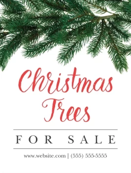 Pine Branches Sale