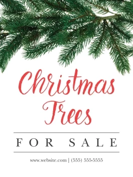Pine Branches Sale