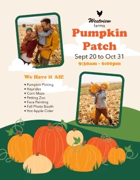 Pumpkin Patch