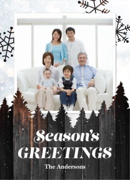 Wood Texture Forest Photo