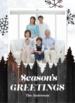 Wood Texture Forest Photo