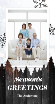 Wood Texture Forest Photo