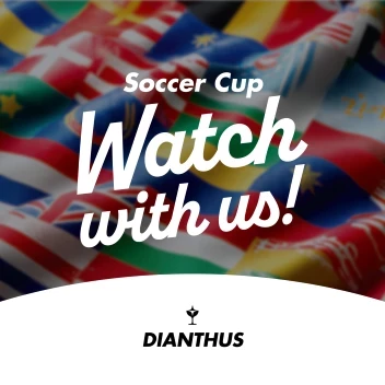 World Flags Soccer