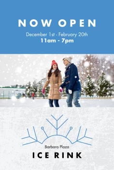 Holiday Ice Rink