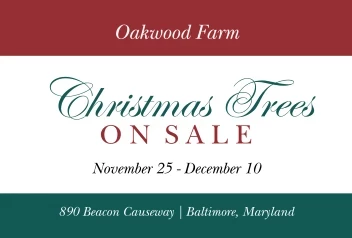 Christmas Tree Farm