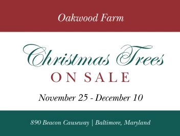 Christmas Tree Farm