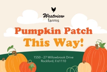 Pumpkin Patch