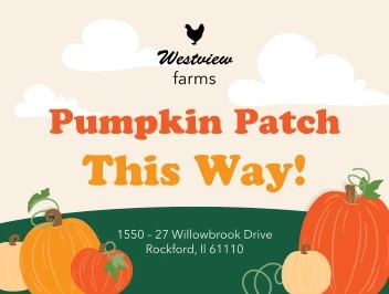 Pumpkin Patch