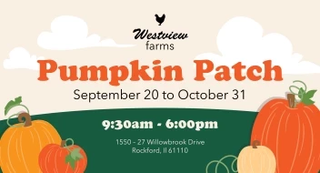 Pumpkin Patch