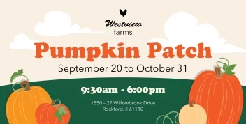 Pumpkin Patch
