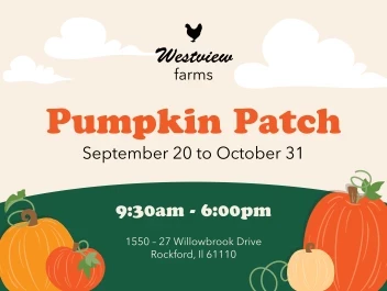Pumpkin Patch