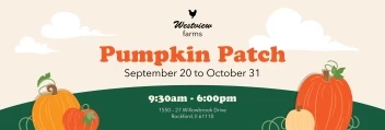 Pumpkin Patch