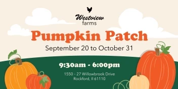 Pumpkin Patch