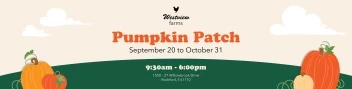 Pumpkin Patch