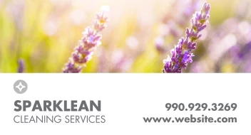 Spring Sparkle Cleaning