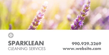 Spring Sparkle Cleaning