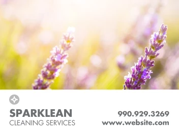 Spring Sparkle Cleaning